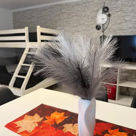 Apartmán 2 Am Europapark - Auf Wunsch Klimatisiert Fuer 10,-aufpreis Pro Nacht